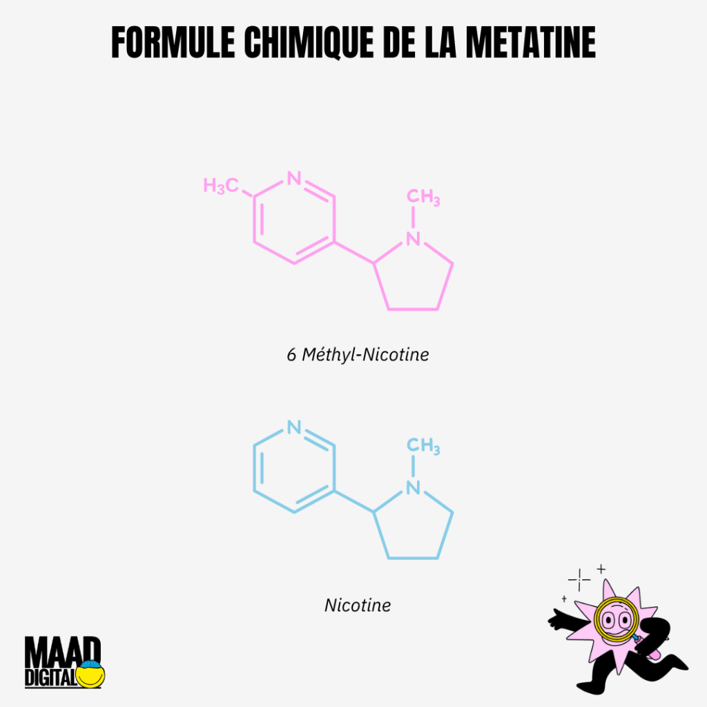 Molécules de métatine et nicotine